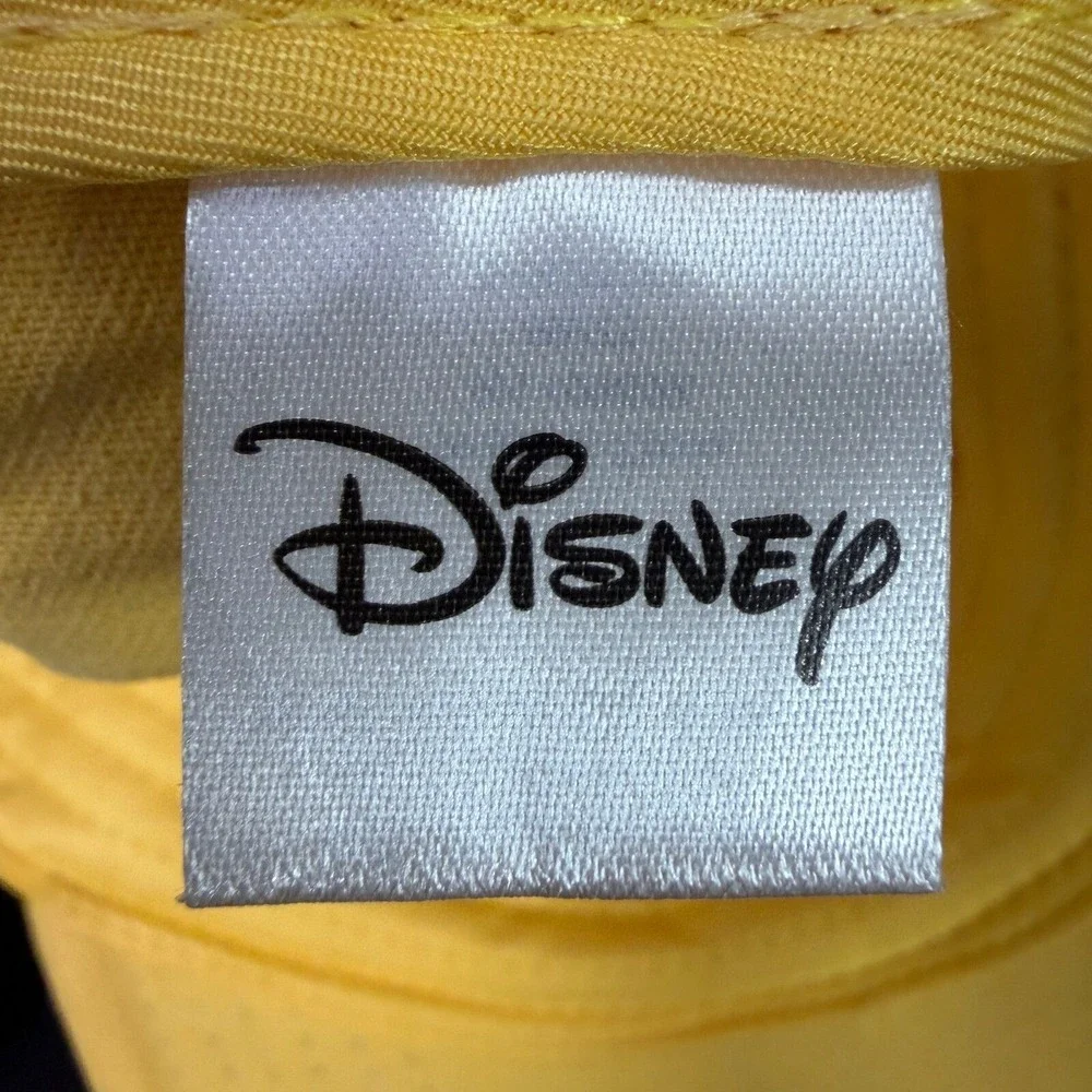 Disney winnie pooh
